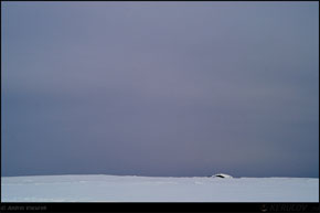 KERUCOV .ro - Fotografie si Webdesign - Faurar prin zapada, tura in doi pe Platoul Bucegilor