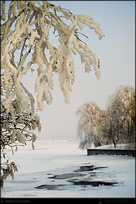 KERUCOV .ro - Fotografie si Webdesign - La plimbare prin Parcul Herastrau in alb abundent