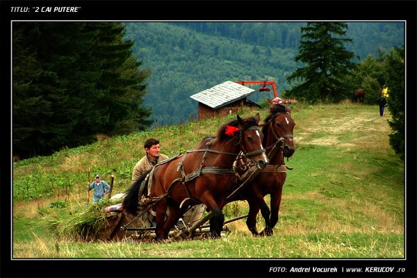 Fotografia: "2 cai putere" - Setul: "Pasul peste munti", din Predeal, Romania / Roumanie, cu aparat Fujifilm FinePix S3000, data 2004-09-05 KERUCOV .ro © 1997 - 2008 || Andrei Vocurek