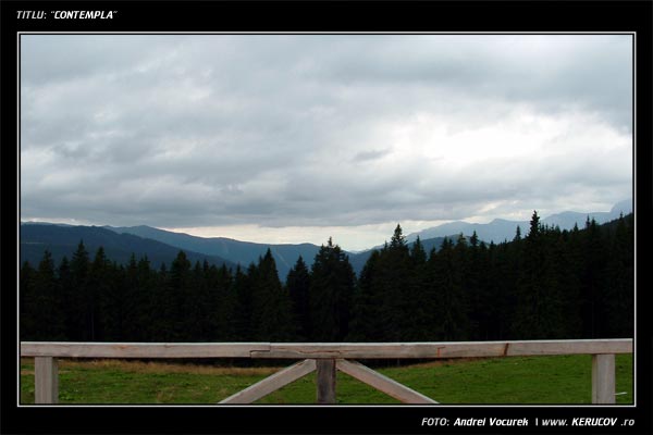 Fotografia: "Contempla" - Setul: "Pasul peste munti", din Predeal, Romania / Roumanie, cu aparat Fujifilm FinePix S3000, data 2004-09-05 KERUCOV .ro © 1997 - 2008 || Andrei Vocurek