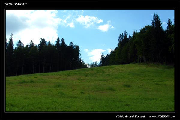 Fotografia: "Pajiste" - Setul: "Pasul peste munti", din Predeal, Romania / Roumanie, cu aparat Fujifilm FinePix S3000, data 2004-09-05 KERUCOV .ro © 1997 - 2008 || Andrei Vocurek