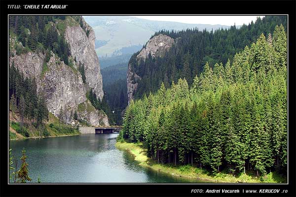 Fotografia: "Cheile Tatarului" - Setul: "Pasul peste munti", din Muntii Bucegi, Romania / Roumanie, cu aparat Fujifilm FinePix S5100, data 2005-08-18 KERUCOV .ro © 1997 - 2008 || Andrei Vocurek