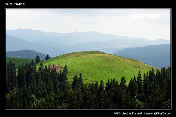 Fotografia: "Coama" - Setul: "Pasul peste munti", din Muntii Bucegi, Romania / Roumanie, cu aparat Fujifilm FinePix S5100, data 2005-08-18 KERUCOV .ro © 1997 - 2008 || Andrei Vocurek