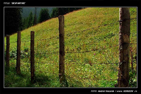 Fotografia: "Despartire" - Setul: "Pasul peste munti", din Muntii Bucegi, Romania / Roumanie, cu aparat Fujifilm FinePix S5100, data 2005-08-18 KERUCOV .ro © 1997 - 2008 || Andrei Vocurek