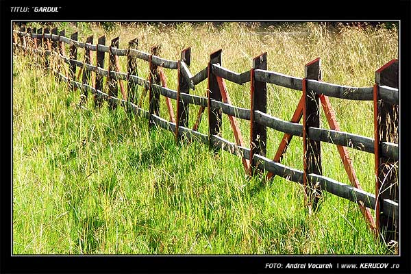 Fotografia: "Gardul" - Setul: "Pasul peste munti", din Muntii Bucegi, Romania / Roumanie, cu aparat Fujifilm FinePix S5100, data 2005-08-18 KERUCOV .ro © 1997 - 2008 || Andrei Vocurek