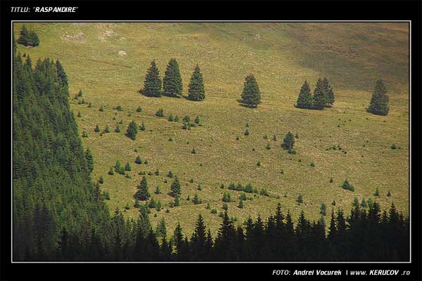 Fotografia: "Raspandire" - Setul: "Pasul peste munti", din Muntii Bucegi, Romania / Roumanie, cu aparat Fujifilm FinePix S5100, data 2005-08-18 KERUCOV .ro © 1997 - 2008 || Andrei Vocurek