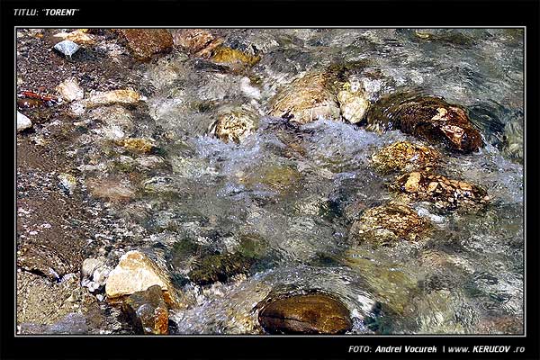 Fotografia: "Torent" - Setul: "Pasul peste munti", din Muntii Bucegi, Romania / Roumanie, cu aparat Fujifilm FinePix S5100, data 2005-08-18 KERUCOV .ro © 1997 - 2008 || Andrei Vocurek