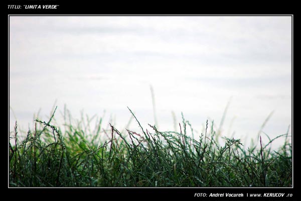Fotografia: "Limita verde" - Setul: "Portrete cu, din si pentru suflet", din Bucuresti / Bucharest, Romania / Roumanie, cu aparat Konica Minolta Dynax 5D, data 2005-06-18 KERUCOV .ro © 1997 - 2008 || Andrei Vocurek