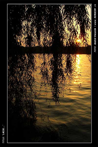 Fotografia: "Lacul..." - Setul: "Peisaj urban si suburban", din Bucuresti / Bucharest, Romania / Roumanie, cu aparat Fujifilm FinePix S5100, data 2005-09-11 KERUCOV .ro © 1997 - 2008 || Andrei Vocurek