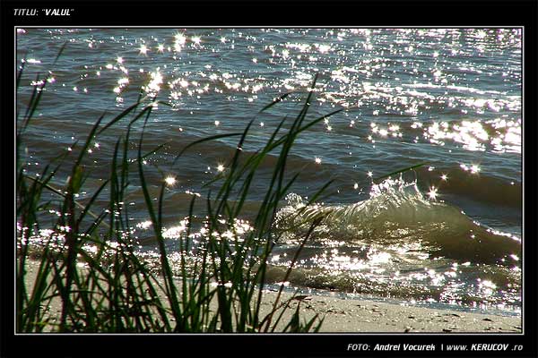 Fotografia: "Valul" - Setul: "Ultima Delta Dunarii", din Sfantu Gheorghe, Romania / Roumanie, cu aparat Fujifilm FinePix S5100, data 2005-08-09 KERUCOV .ro © 1997 - 2008 || Andrei Vocurek