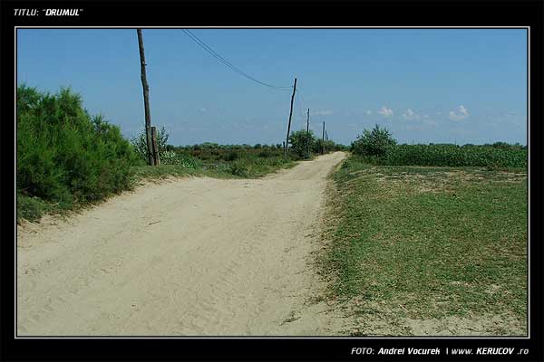 Fotografia: "Drumul" - Setul: "Ultima Delta Dunarii", din Sfantu Gheorghe, Romania / Roumanie, cu aparat Fujifilm FinePix S5100, data 2005-08-11 KERUCOV .ro © 1997 - 2008 || Andrei Vocurek