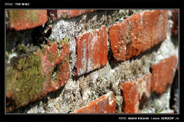 Fotografia: "The Wall" - Setul: "Orasul oarecare - Puncte peste asfalt", din Mogosoaia, Romania / Roumanie, cu aparat Fujifilm FinePix S5100, data 2005-07-23 KERUCOV .ro © 1997 - 2008 || Andrei Vocurek