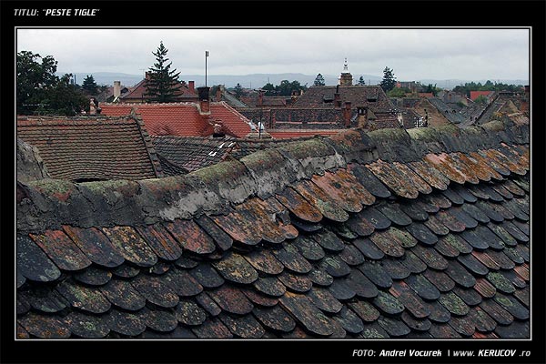 Fotografia: "Peste tigle" - Setul: "Orasul Sibiu - Printre picaturi", din Sibiu / Hermannstadt, Romania / Roumanie, cu aparat Fujifilm FinePix S5100, data 2005-09-20 KERUCOV .ro © 1997 - 2008 || Andrei Vocurek