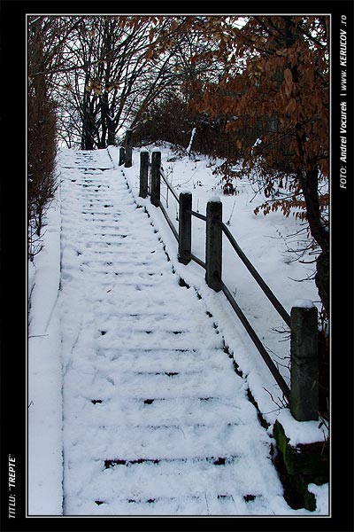 Fotografia: "Trepte" - Setul: "Orasul Sighisoara - Cetatea Medievala", din Sighisoara / Schassburg, Romania / Roumanie, cu aparat Fujifilm FinePix S5100, data 2005-12-27 KERUCOV .ro © 1997 - 2008 || Andrei Vocurek