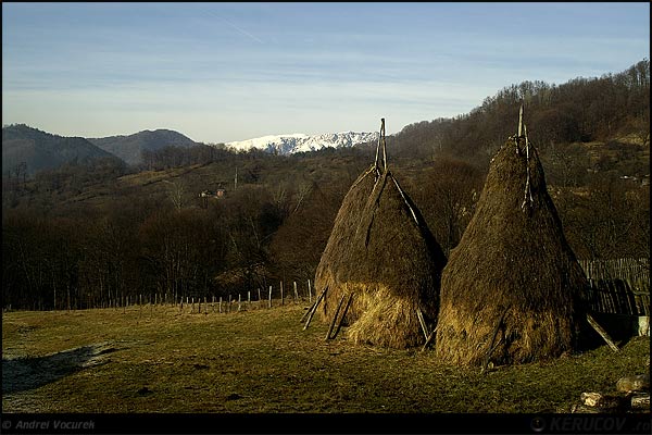 Fotografia: "Capite" - Setul: "Pasul peste munti", din Baile Olanesti, Romania / Roumanie, cu aparat Konica Minolta Dynax 5D, data 2006-12-31 KERUCOV .ro © 1997 - 2008 || Andrei Vocurek