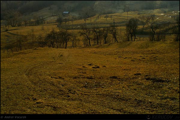 Fotografia: "Drumul spre casa" - Setul: "Viata simpla de la tara", din Baile Olanesti, Romania / Roumanie, cu aparat Konica Minolta Dynax 5D, data 2006-12-31 KERUCOV .ro © 1997 - 2008 || Andrei Vocurek