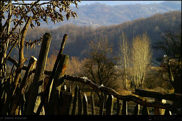 Fotografia: "Taramul de dincolo" - Setul: "Viata simpla de la tara", din Baile Olanesti, Romania / Roumanie, cu aparat Konica Minolta Dynax 5D, data 2006-12-31 KERUCOV .ro © 1997 - 2008 || Andrei Vocurek