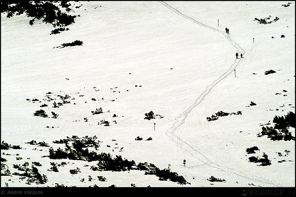 Fotografia: "Urme prin zapada" - Setul: "Pasul peste munti", din Sinaia, Romania / Roumanie, cu aparat Konica Minolta Dynax 5D, data 2006-04-29 KERUCOV .ro © 1997 - 2008 || Andrei Vocurek