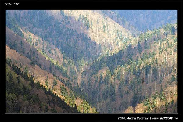 Fotografia: "W" - Setul: "Pasul peste munti", din Sinaia, Romania / Roumanie, cu aparat Konica Minolta Dynax 5D, data 2006-04-29 KERUCOV .ro © 1997 - 2008 || Andrei Vocurek