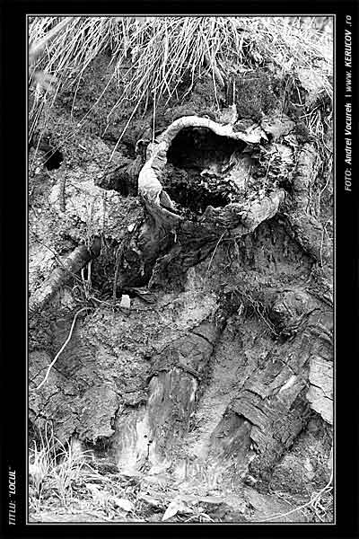 Fotografia: "Locul" - Setul: "Experiente de fotografie", din Predeal, Romania / Roumanie, cu aparat Konica Minolta Dynax 5D, data 2006-04-30 KERUCOV .ro © 1997 - 2008 || Andrei Vocurek