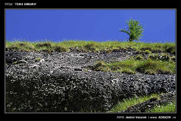 Fotografia: "Tema singura" - Setul: "Pasul peste munti", din Muntii Bucegi, Romania / Roumanie, cu aparat Konica Minolta Dynax 5D, data 2006-07-16 KERUCOV .ro © 1997 - 2008 || Andrei Vocurek