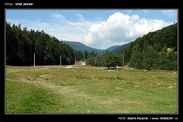 Fotografia: "Spre Diham" - Setul: "Pasul peste munti", din Busteni, Romania / Roumanie, cu aparat Fujifilm FinePix S3000, data 2004-09-08 KERUCOV .ro © 1997 - 2008 || Andrei Vocurek