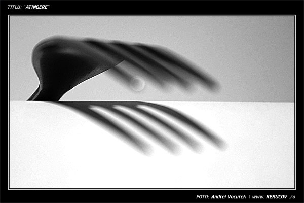 Fotografia: "Atingere" - Setul: "Portrete cu, din si pentru suflet", din Bucuresti / Bucharest, Romania / Roumanie, cu aparat Konica Minolta Dynax 5D, data 2006-04-08 KERUCOV .ro © 1997 - 2008 || Andrei Vocurek