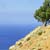 Fotografia: "Diagonal" - Setul: "Pasul peste munti", din Agios Nikolaos, Grecia, Insula Creta / Greece, Crete, cu aparat Konica Minolta Dynax 5D, data 2006-09-19 KERUCOV .ro © 1997 - 2008 || Andrei Vocurek
