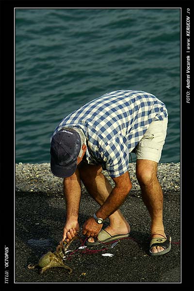Fotografia: "Octopus" - Setul: "Printre oameni ca noi", din Heraklion / Iraklion, Grecia, Insula Creta / Greece, Crete, cu aparat Konica Minolta Dynax 5D, data 2006-09-17 KERUCOV .ro © 1997 - 2008 || Andrei Vocurek