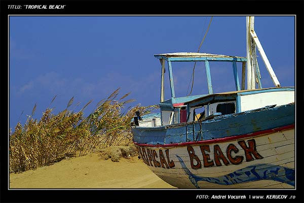 Fotografia: "Tropical Beach" - Setul: "Peisaj urban si suburban", din Malia, Grecia, Insula Creta / Greece, Crete, cu aparat Konica Minolta Dynax 5D, data 2006-09-22 KERUCOV .ro © 1997 - 2008 || Andrei Vocurek