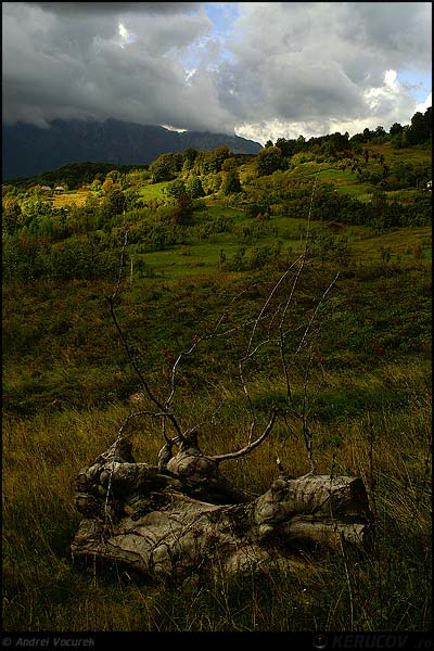 Fotografia: "Invocarea naturii" - Setul: "Viata simpla de la tara", din sat Gurguiata, Romania / Roumanie, cu aparat Konica Minolta Dynax 5D, data 2006-09-29 KERUCOV .ro © 1997 - 2008 || Andrei Vocurek