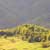 Fotografia: "Palma de pamant" - Setul: "Viata simpla de la tara", din sat Gurguiata, Romania / Roumanie, cu aparat Konica Minolta Dynax 5D, data 2006-09-29 KERUCOV .ro © 1997 - 2008 || Andrei Vocurek