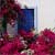 Fotografia: "Casa cu flori" - Setul: "Peisaj urban si suburban", din Ia / Oia, Grecia, Insula Santorini / Greece, Santorini, cu aparat Konica Minolta Dynax 5D, data 2006-09-18 KERUCOV .ro © 1997 - 2008 || Andrei Vocurek