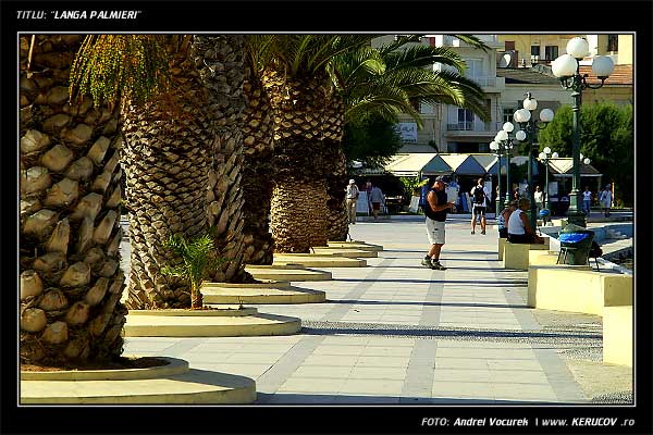 Fotografia: "Langa palmieri" - Setul: "Orasul oarecare - Puncte peste asfalt", din Sitia, Grecia, Insula Creta / Greece, Crete, cu aparat Konica Minolta Dynax 5D, data 2006-09-19 KERUCOV .ro © 1997 - 2008 || Andrei Vocurek