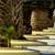 Fotografia: "Langa palmieri" - Setul: "Orasul oarecare - Puncte peste asfalt", din Sitia, Grecia, Insula Creta / Greece, Crete, cu aparat Konica Minolta Dynax 5D, data 2006-09-19 KERUCOV .ro © 1997 - 2008 || Andrei Vocurek