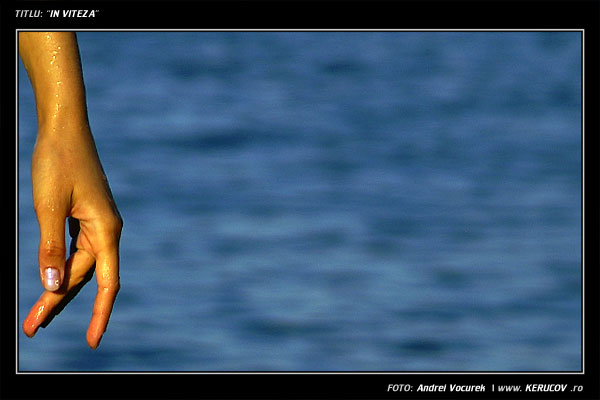 Fotografia: "In viteza" - Setul: "Zapacit de lumea noastra", din Vai Beach, Grecia, Insula Creta / Greece, Crete, cu aparat Konica Minolta Dynax 5D, data 2006-09-19 KERUCOV .ro © 1997 - 2008 || Andrei Vocurek