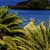 Fotografia: "Rezervatie" - Setul: "Peisaj urban si suburban", din Vai Beach, Grecia, Insula Creta / Greece, Crete, cu aparat Konica Minolta Dynax 5D, data 2006-09-19 KERUCOV .ro © 1997 - 2008 || Andrei Vocurek