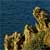 Fotografia: "Stanci" - Setul: "Pasul peste munti", din Vai Beach, Grecia, Insula Creta / Greece, Crete, cu aparat Konica Minolta Dynax 5D, data 2006-09-19 KERUCOV .ro © 1997 - 2008 || Andrei Vocurek