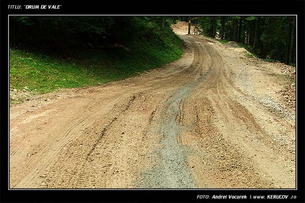 Fotografia: "Drum la vale" - Setul: "Pasul peste munti", din Poiana Brasov, Romania / Roumanie, cu aparat Fujifilm FinePix S5100, data 2005-09-27 KERUCOV .ro © 1997 - 2008 || Andrei Vocurek