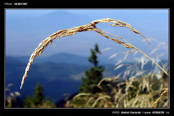 Fotografia: "Ocrotire" - Setul: "Pasul peste munti", din Poiana Brasov, Romania / Roumanie, cu aparat Fujifilm FinePix S5100, data 2005-09-27 KERUCOV .ro © 1997 - 2008 || Andrei Vocurek