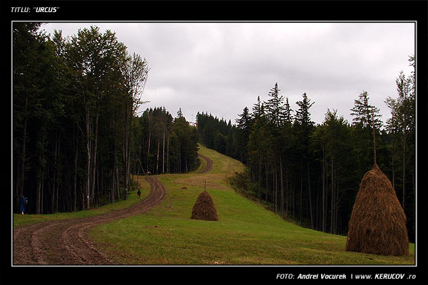 Fotografia: "Urcus" - Setul: "Pasul peste munti", din Predeal, Romania / Roumanie, cu aparat Fujifilm FinePix S3000, data 2004-09-05 KERUCOV .ro © 1997 - 2008 || Andrei Vocurek