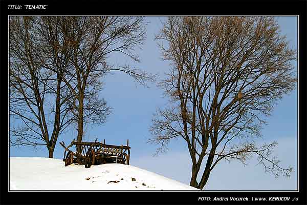 Fotografia: "Tematic" - Setul: "Orasul Rasnov - Cetatea Rasnov sec. XIII", din Rasnov / Rosenau, Romania / Roumanie, cu aparat Konica Minolta Dynax 5D, data 2006-01-28 KERUCOV .ro © 1997 - 2008 || Andrei Vocurek