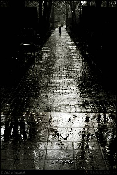 Fotografia: "Alee in ploaie" - Setul: "Printre oameni ca noi", din Bucuresti / Bucharest, Romania / Roumanie, cu aparat Konica Minolta Dynax 5D, data 2007-03-04 KERUCOV .ro © 1997 - 2008 || Andrei Vocurek