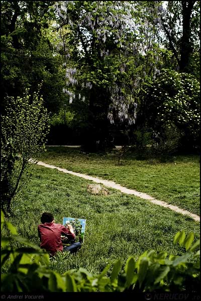 Fotografia: "Verde in ulei pe panza" - Setul: "Orasul Bucuresti - Parcuri si gradini", din Bucuresti / Bucharest, Romania / Roumanie, cu aparat Konica Minolta Dynax 5D, data 2007-04-30 KERUCOV .ro © 1997 - 2008 || Andrei Vocurek