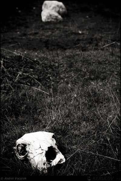 Fotografia: "Despre existenta" - Setul: "Vremuri si spatii din Romania", din Dambovita, Romania / Roumanie, cu aparat Konica Minolta Dynax 5D, data 2007-08-11 KERUCOV .ro © 1997 - 2008 || Andrei Vocurek