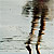Fotografia: "Intre apa si uscat" - Setul: "Imagini la malul Marii Negre", din Mamaia, Romania / Roumanie, cu aparat Konica Minolta Dynax 5D, data 2007-06-12 KERUCOV .ro © 1997 - 2008 || Andrei Vocurek