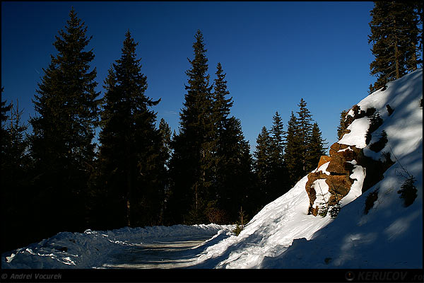 Fotografia: "Brazi si stanci" - Setul: "Pasul peste munti", din Paltinis, Romania / Roumanie, cu aparat Konica Minolta Dynax 5D, data 2007-01-14 KERUCOV .ro © 1997 - 2008 || Andrei Vocurek