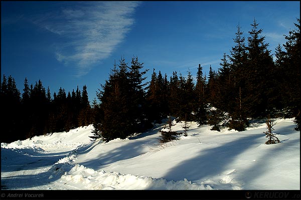 Fotografia: "Vartej" - Setul: "Pasul peste munti", din Paltinis, Romania / Roumanie, cu aparat Konica Minolta Dynax 5D, data 2007-01-14 KERUCOV .ro © 1997 - 2008 || Andrei Vocurek